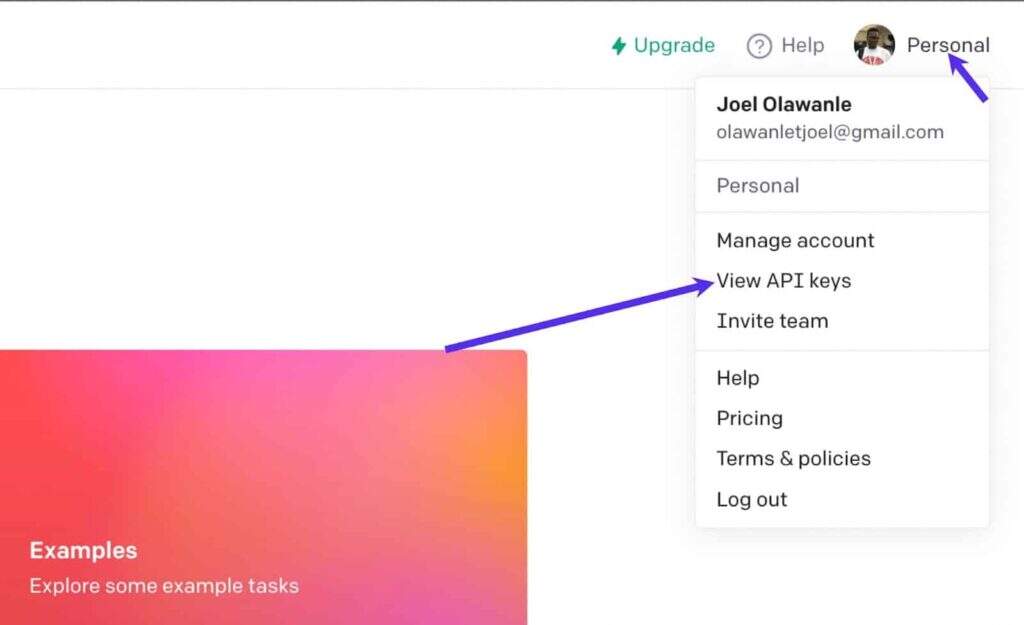 view-openai-api-keys view-openai-api-keys