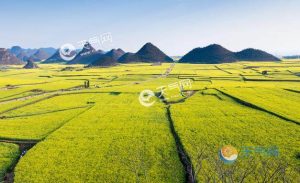 2月份国内最佳旅游地-
