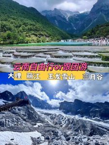 云南报团好还是自由行-