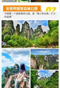 张家界5天4晚要多少钱-