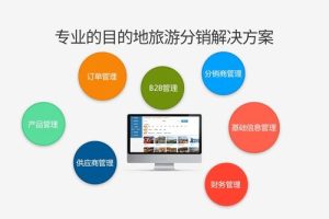 国内最大的旅游分销平台-