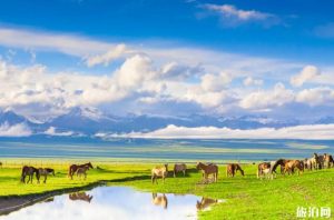 六月去哪里旅游最好-
