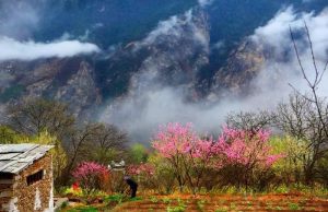 春天适合去哪里旅游-
