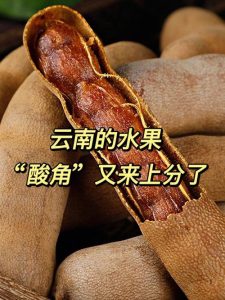 云南水果特产有哪些-