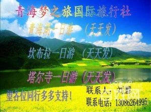 青海哪家旅行社口碑好-