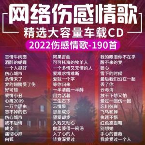 2022年最火十大伤感歌曲-