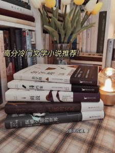 十年书龄只推冷门高质量文-