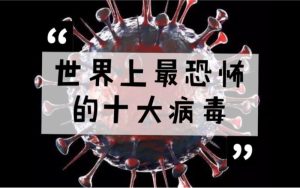 最厉害的病毒-