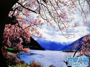 3月份国内8大最佳旅游好去处-