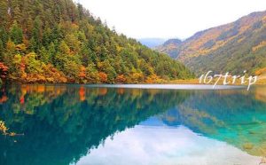 九寨沟旅游几月份最佳时间 毒战-