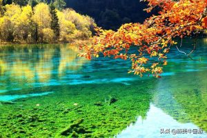 九寨沟旅游几月份最佳时间干-