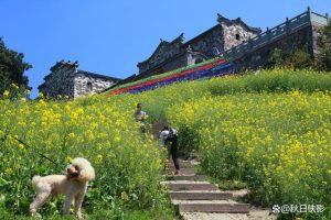 适合3天2晚旅游的地方春天-