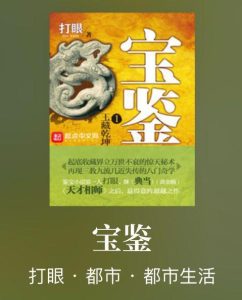 鉴宝类小说-