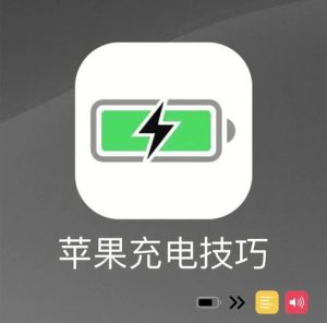 iphone优化电池充电需要打开吗-