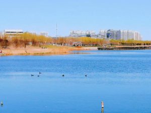 通明湖公园-