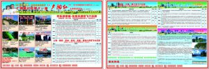 旅游团怎么报-