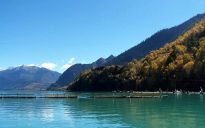 六七月份适合旅游的地方-