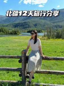 6月去新疆旅游-