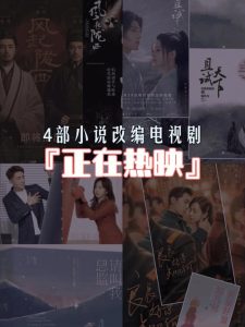 小说改编的电视剧-