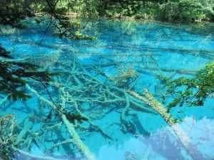 7月份适合去哪里旅游国内凉快-