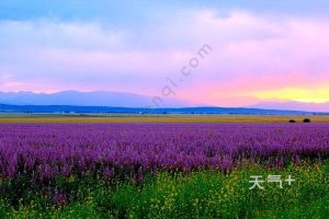 7月中旬适合去哪里玩-