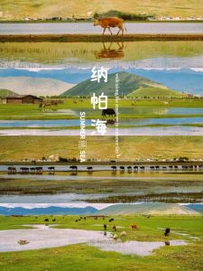 七月份适合去云南旅游吗-