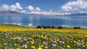 三四月份可以去哪儿旅游-