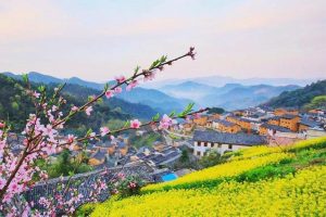 三四月适合去哪旅行-
