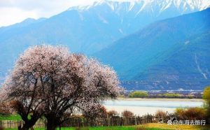 三四月份适合去的地方-