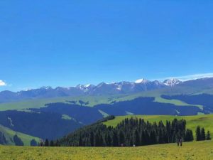 新疆六月去哪里旅游最好-