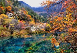 10月份去哪里旅游-