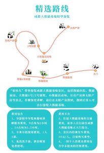 成都旅游线路安排-