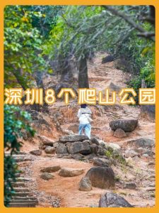 深圳爬山必去十大景点-