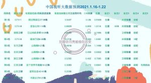 中国视听大数据-