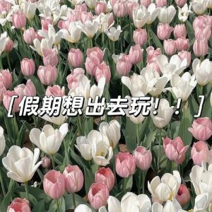 想出去玩去哪里比较好-