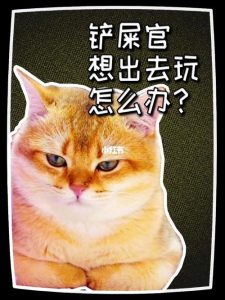 想出去玩怎么办-