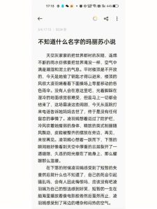 玛丽苏小说-