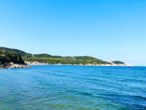 去威海跟团游还是自由行好-