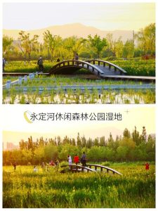 永定河森林公园-