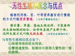 无性繁殖-