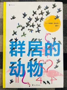 群居动物-
