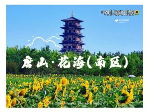 唐山花海-