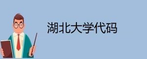 湖北大学代码-