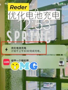 苹果优化电池充电有必要开吗-