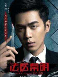 悬疑侦破推理电视剧-