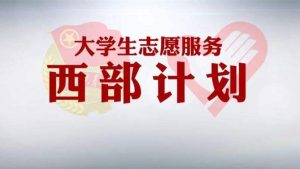 西部计划回来能干什么-