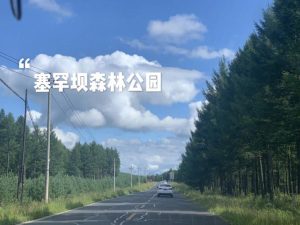 塞罕坝国家森林公园-