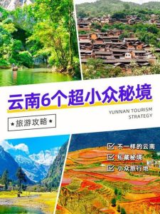 云南七日游旅游团价格-