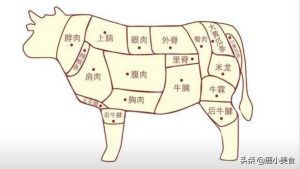 牛身上哪个部位的肉最嫩最好吃-