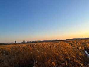 石家庄滹沱河-